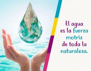 Ideas de detalles por el día internacional del agua