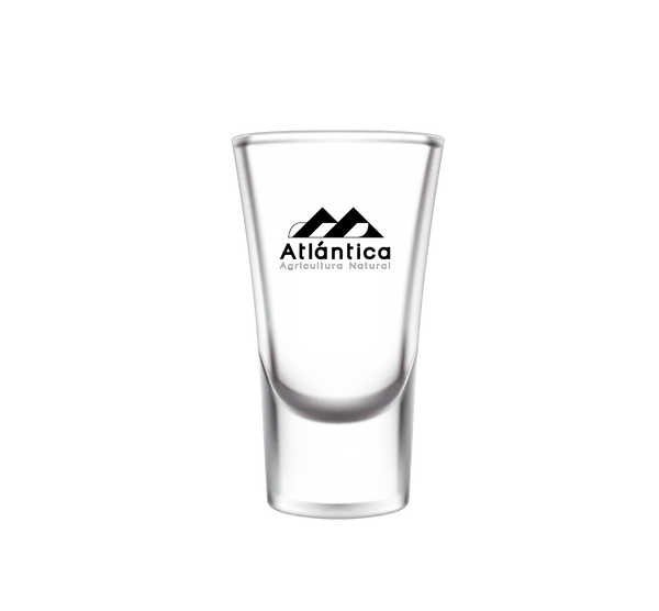 Vasos shot personalizado de vidrio