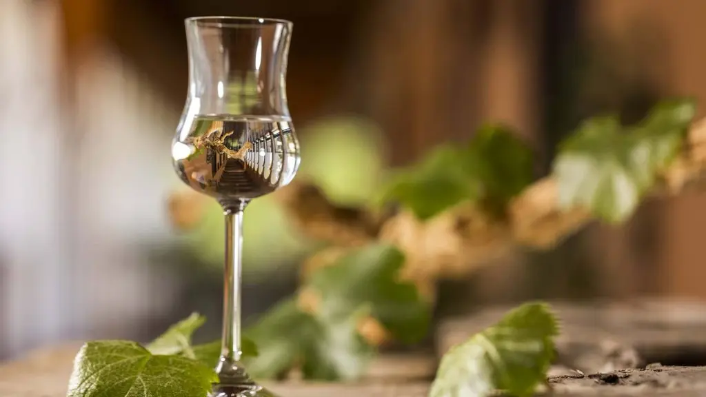 Cómo elegir el mejor Pisco según la ocasión