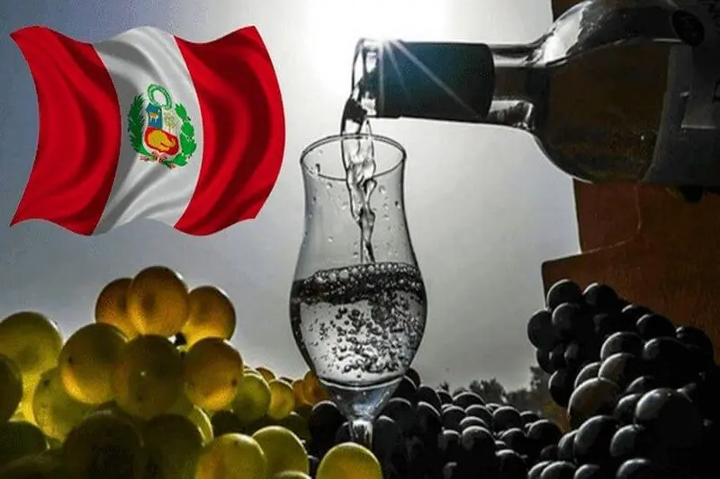 Características del Pisco | Pisco Puro, Mosto Verde y Acholado