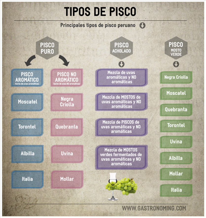 Tipos de Pisco y sus diferencias Características del Pisco | Pisco Puro, Mosto Verde y Acholado