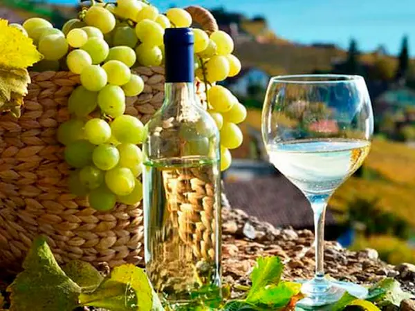 consejos para elegir el mejor pisco
